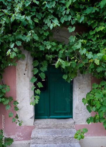 Old green door with grape vines growing around it
