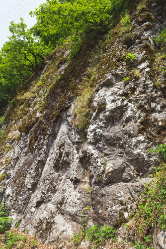 moss covered rocks