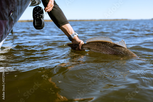 Red Fish Louisiana Fishing- Spot Tail
