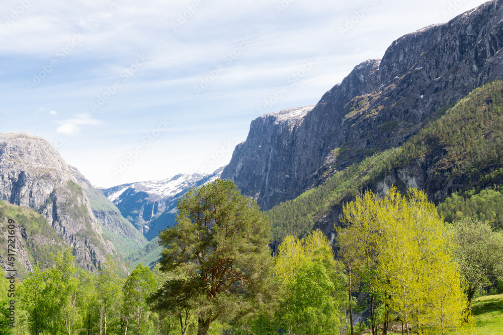 Green nature among high mountains in Norway
