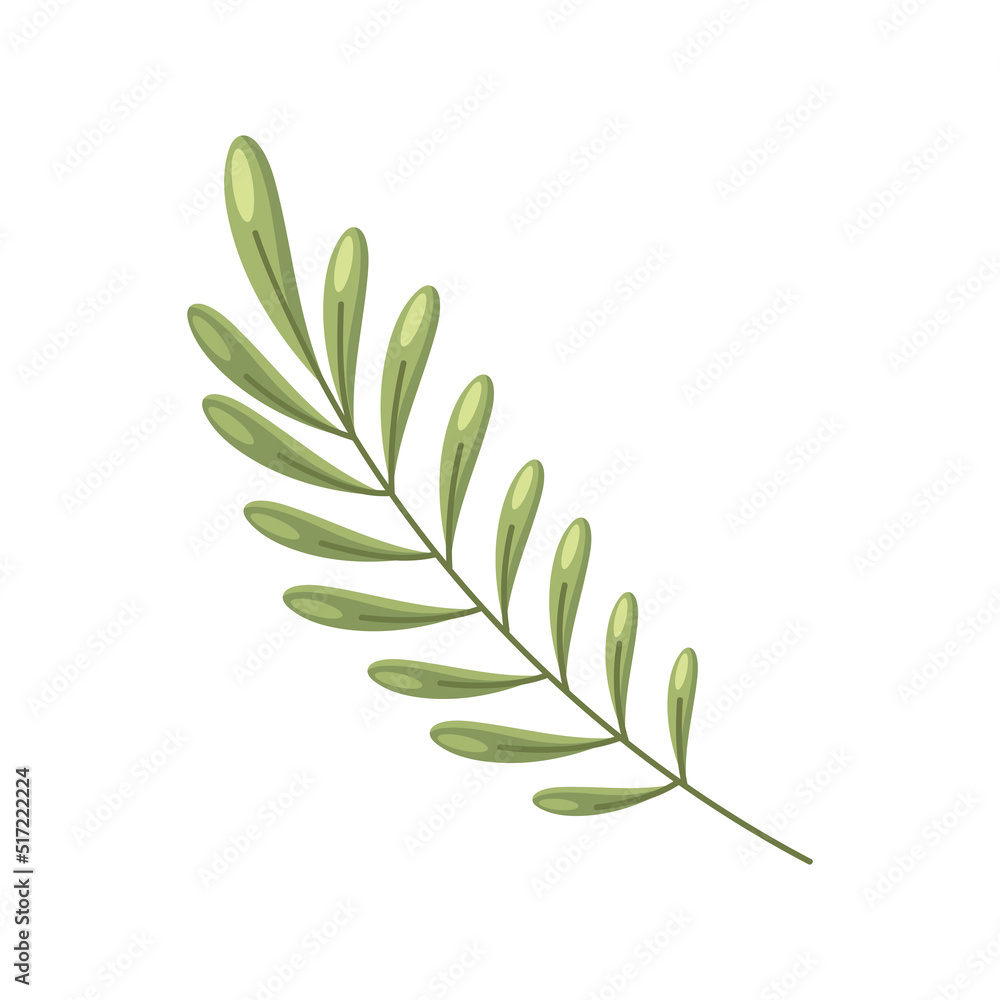 branch plant foliage branch plant foliage