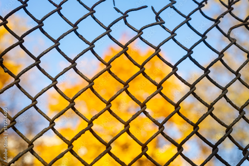 Fototapeta premium old rusty iron mesh fence with yellow tree in defocus on background