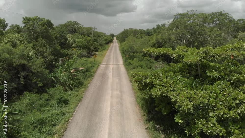 Aerial view of tropical green jungle before the rain in Tulum with jungle road creating perspective line on a cloudy day Aerial view of tropical green jungle before the rain in Tulum with jungle road creating perspective line on a cloudy day
