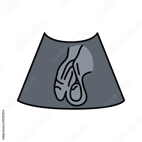 Ultrasound male reproductive system color line illustration