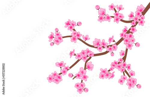 Sakura Flower. Cherry Blossom branch. vector illustration.