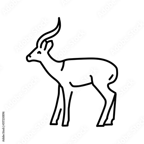 Gazelle color line illustration