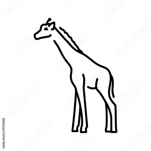 Giraffe color line illustration