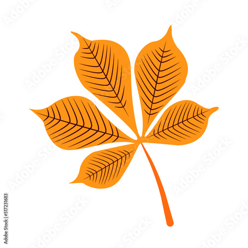Autumn leaves. Top view of fall tree leaf. Flat vector illustration isolated on white background. Autumn landscape, autumn leaves.