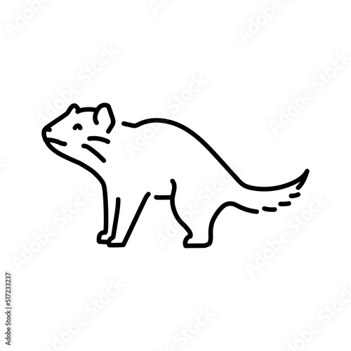 Tasmanian devil color line illustration. Animals of Australia