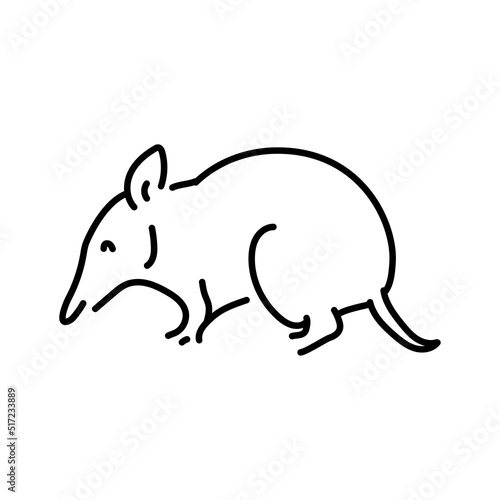 Australian bandicoot color line illustration. Animals of Australia