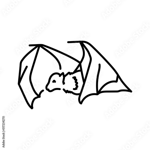 Australian flying fox color line illustration. Animals of Australia