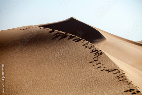 Fototapeta Naklejka Na Ścianę i Meble -  Human footsteps on the top of the sand dune in the desert in Abu Dhabi