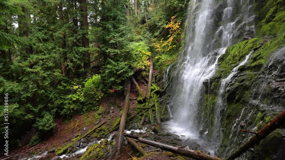 The lush forest and moss at Proxy Falls in Oregon, USA. The lush forest and moss at Proxy Falls in Oregon, USA.