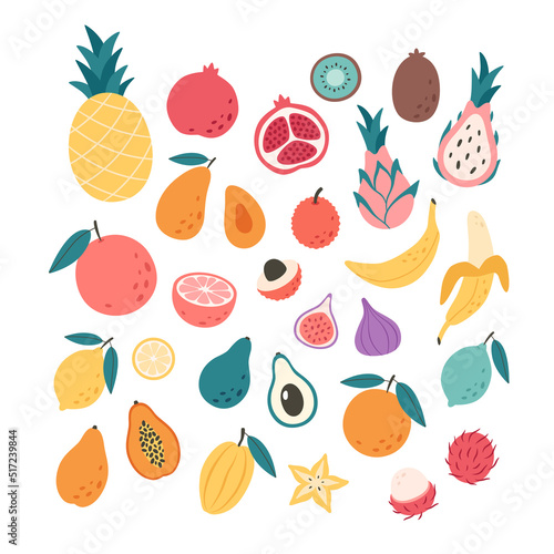 Fototapeta Naklejka Na Ścianę i Meble -  Exotic and tropical fruit collection. Healthy food, dietetics products, fresh vitamin grocery products. Vector illustration in flat style