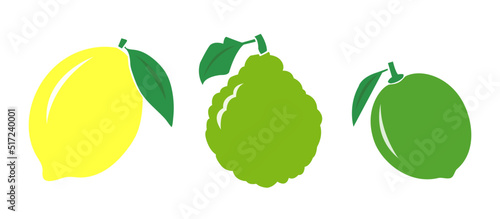 Vector Set of fruits  - a lemon, bergamot and a lime - colour icons on white background images.