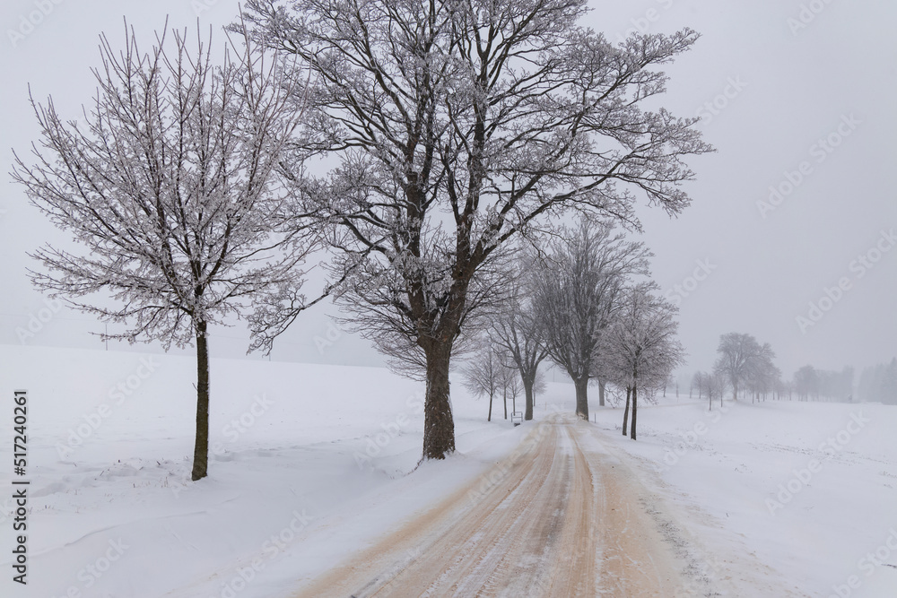Obraz premium Dusty road with fresh snow