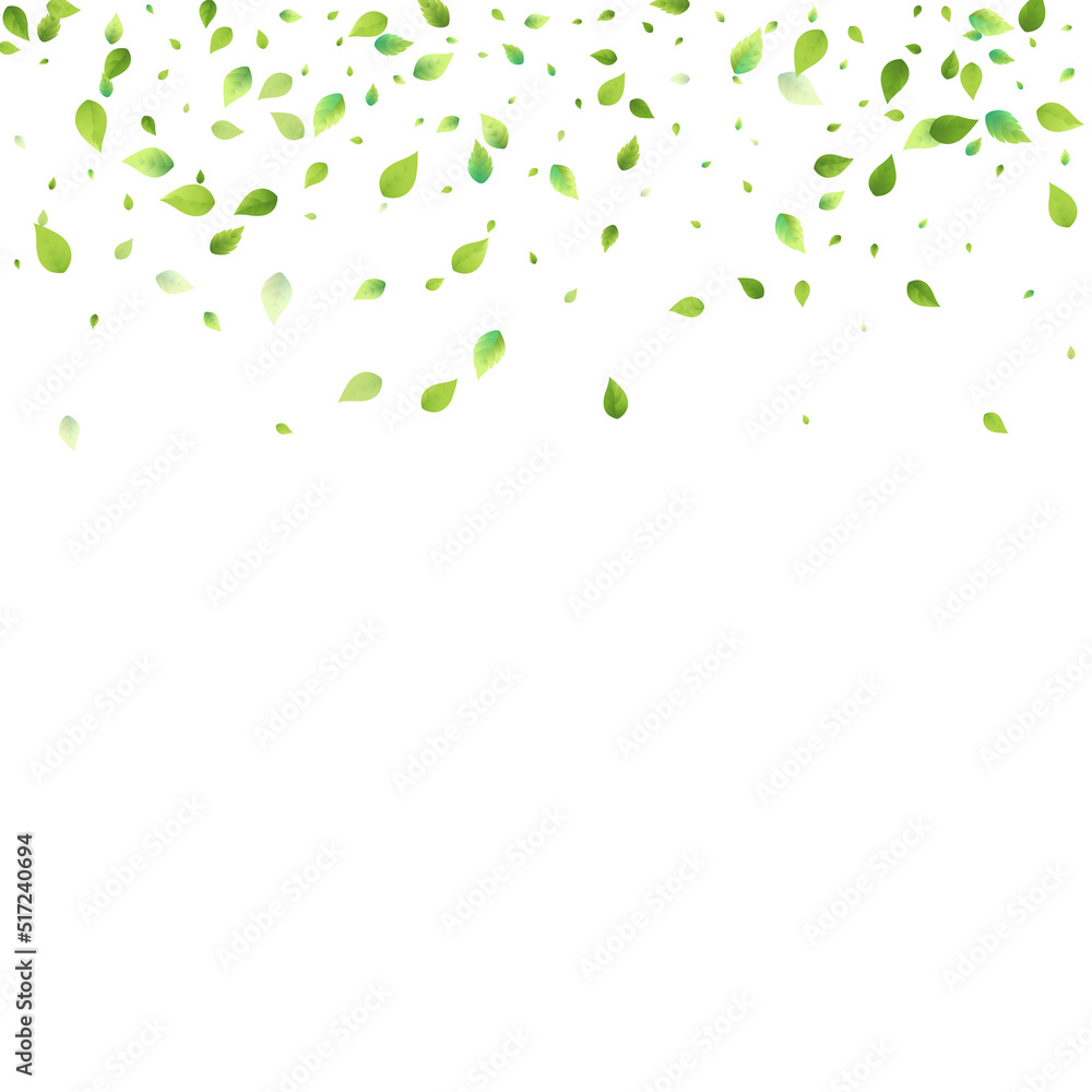 Leaves Green Falling Flying Foliage Leaf Tea Mint Leaves Green Falling Flying Foliage Leaf Tea Mint