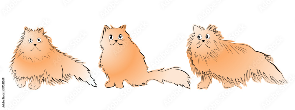 Fototapeta premium three fluffy red cats. Vector illustration.