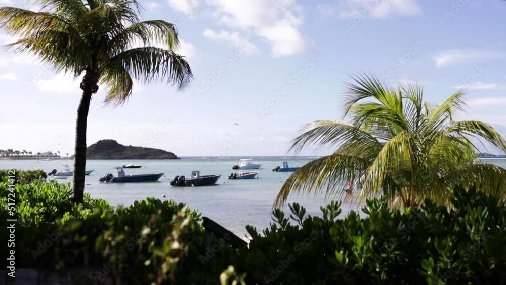 Boats in the marina, Caribe Island Boats in the marina, Caribe Island
