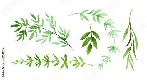 Set of watercolor green leaves. Best for design, wedding invitations, greeting cards, scrapbooking and banners