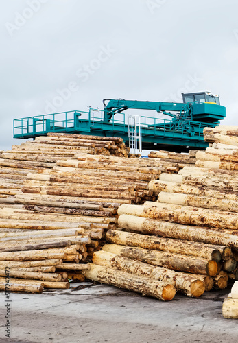Sawmill with chopped tree wood logs stacks in a row with machinery