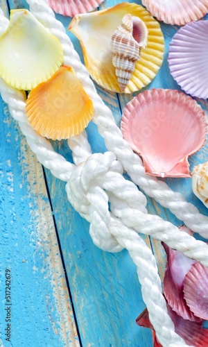 Shell Background Very Cool