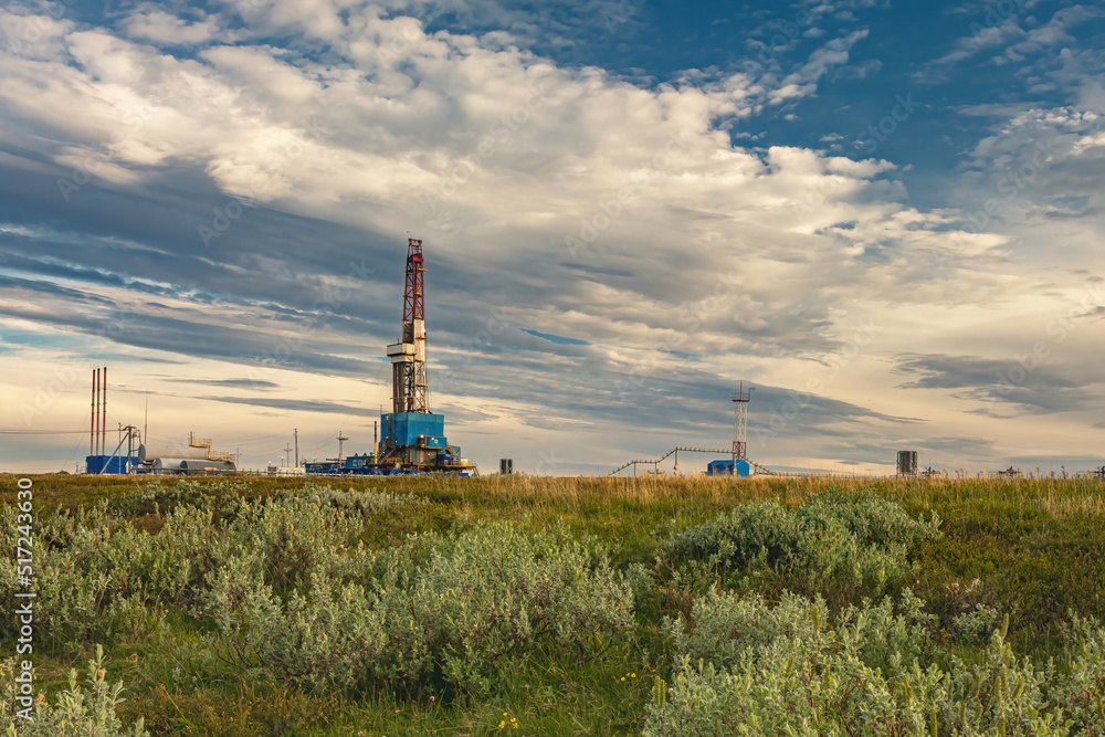 The summer landscape of the Arctic tundra against the background of infrastructure for drilling wells and oil and gas production. In the foreground is the vegetation of the northern nature.