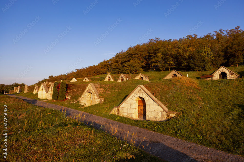 Autumnal Gombos-hegyi pincesor in Hercegkut, UNESCO site, Great Plain, North Hungary