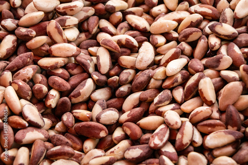 Brazil nut texture. Close-up. South American walnut. Bertholletia.