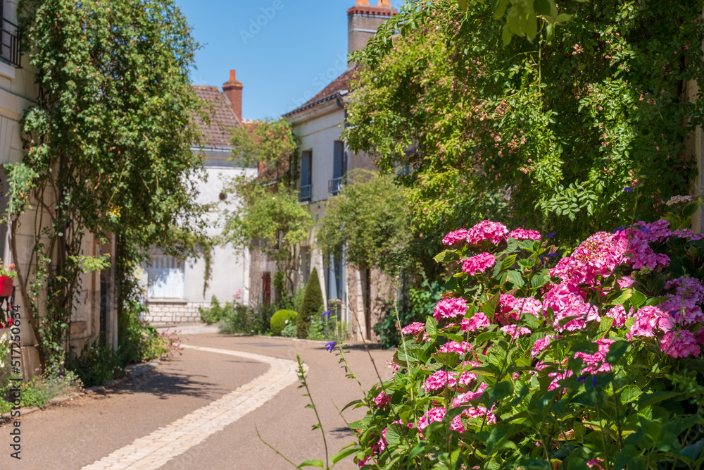 Chedigny in the Loire Valley, France. The village has been turned into a giant garden and is known as a garden village or 'Remarkable Garden'. 