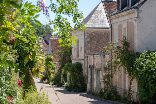 Chedigny in the Loire Valley, France. The village has been turned into a giant garden and is known as a garden village or 'Remarkable Garden'.  © Lois GoBe