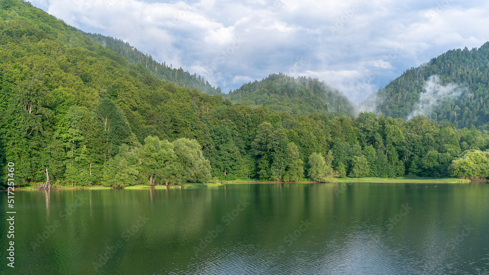 Biogradsko lake in the national park Biogradska Gora Biogradsko lake in the national park Biogradska Gora