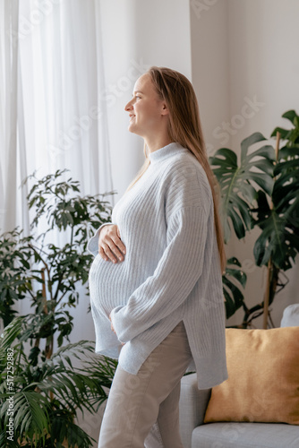 Pregnancy, people and rest concept. Side view of the happy pregnant caucasian woman looking at the window and thinking about her future baby at home. Mothers Day