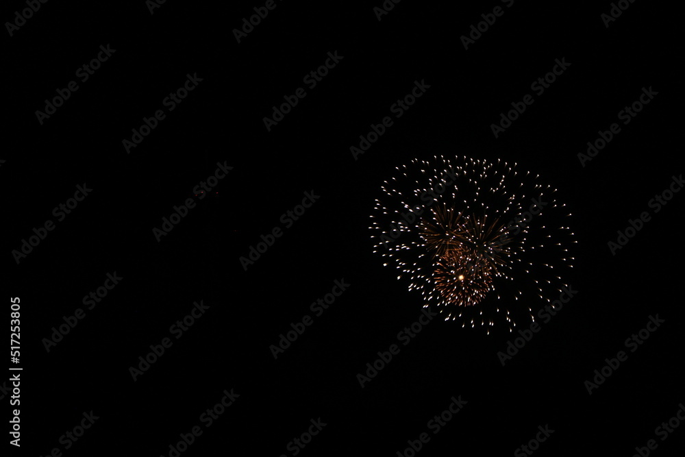 Golden fireworks against a pitch black sky with copy space(Paris, France). Concept for celebration, festival, new year, fireworks, etc. Golden fireworks against a pitch black sky with copy space(Paris, France). Concept for celebration, festival, new year, fireworks, etc.
