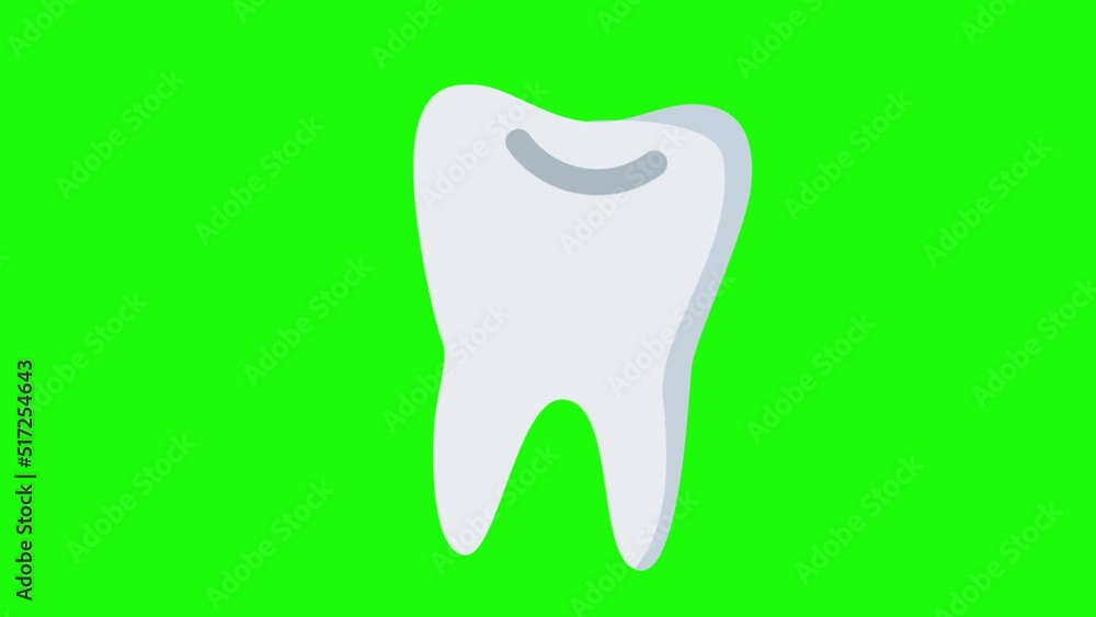 Anatomical Tooth icon animation on green background. Animated Anatomical Body icons. Tooth cartoon animation with alpha channel. Key color, chroma-key, alpha channel. 4K video Anatomical Tooth icon animation on green background. Animated Anatomical Body icons. Tooth cartoon animation with alpha channel. Key color, chroma-key, alpha channel. 4K video