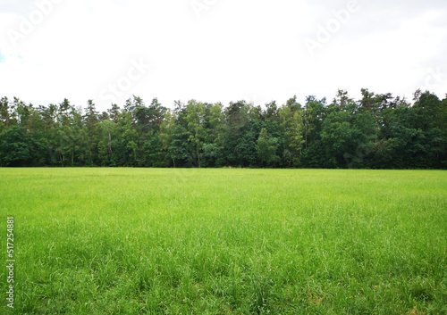 green field and blue sky, background photo
