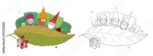 Three gnomes sleep under the leaf. Forest elves