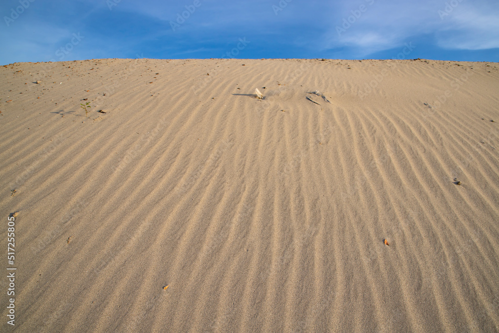 sand texture. wavy sand textured background. sand textured beach sand texture. wavy sand textured background. sand textured beach
