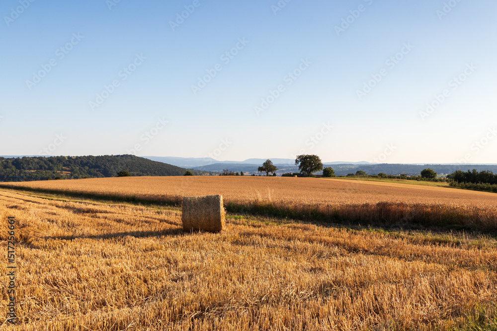 Fototapeta premium Königsbach-Stein