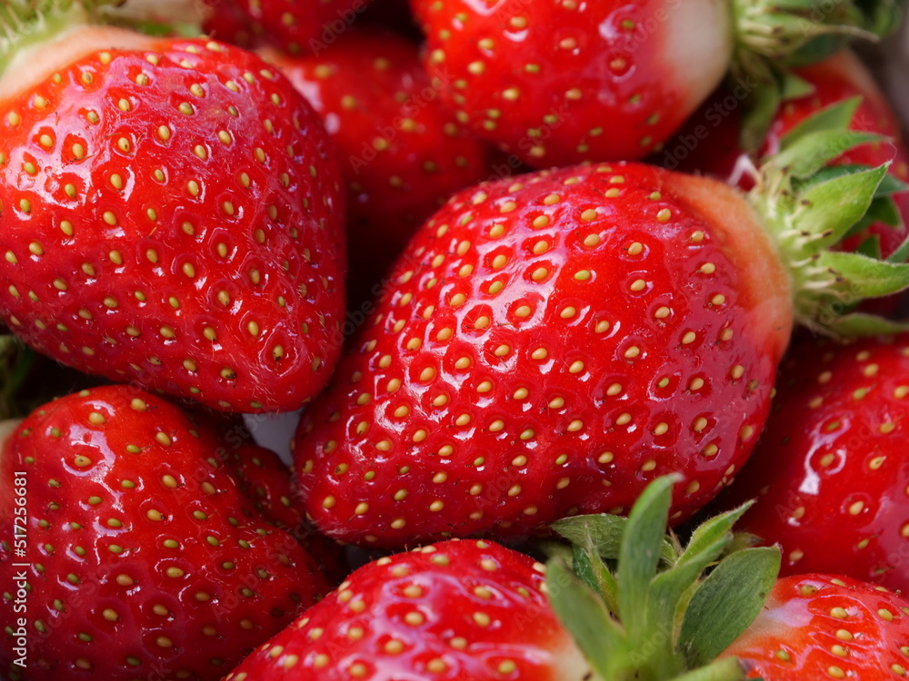 fraise fraise