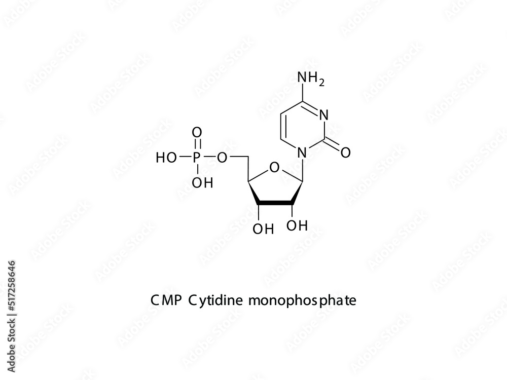 CMP Cytidine monophosphate Nucleotide molecular structure on white background. DNA and RNA building block - nitrogenous base, sugar and phosphate. CMP Cytidine monophosphate Nucleotide molecular structure on white background. DNA and RNA building block - nitrogenous base, sugar and phosphate.