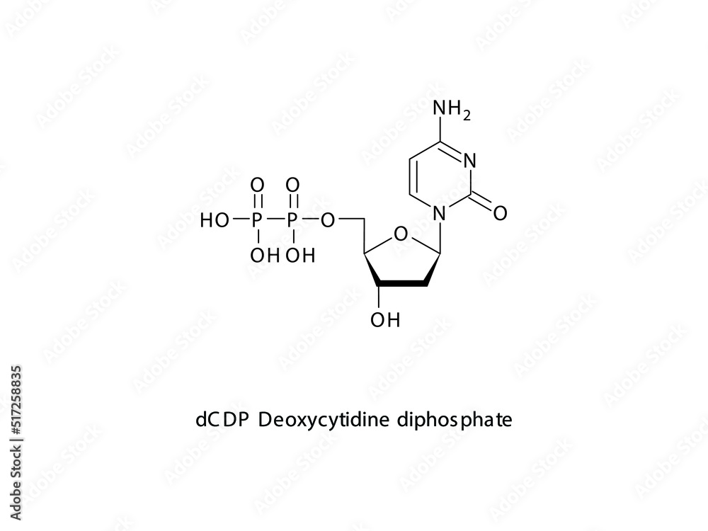 dCDP Deoxycytidine diphosphate Nucleoside molecular structure on white background. DNA and RNA building block - nitrogenous base, sugar and phosphate. dCDP Deoxycytidine diphosphate Nucleoside molecular structure on white background. DNA and RNA building block - nitrogenous base, sugar and phosphate.