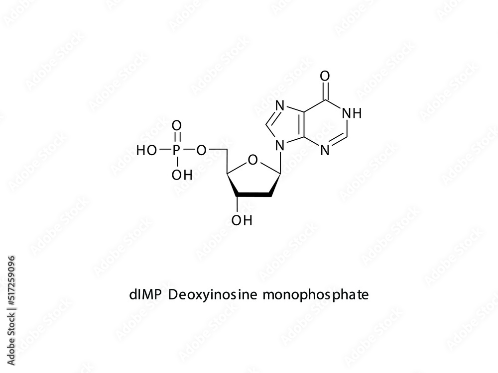 dIMP Deoxyinosine monophosphate Nucleotide molecular structure on white background. DNA and RNA building block - nitrogenous base, sugar and phosphate. dIMP Deoxyinosine monophosphate Nucleotide molecular structure on white background. DNA and RNA building block - nitrogenous base, sugar and phosphate.