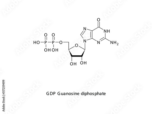 GDP Guanosine diphosphate Nucleoside molecular structure on white background. DNA and RNA building block - nitrogenous base, sugar and phosphate.