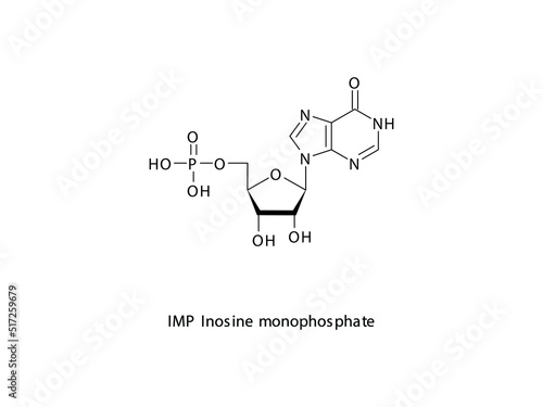 IMP Inosine monophosphate Nucleotide molecular structure on white background. DNA and RNA building block - nitrogenous base, sugar and phosphate.