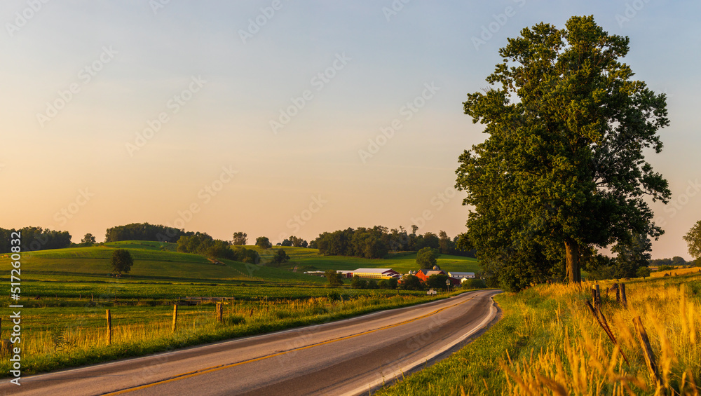 Winding country road beside a large oak tree and a fence row in the farmland of Holmes County, Ohio