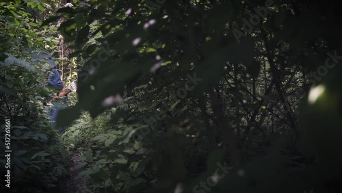 a forest elf or a mysterious girl with a bow and arrows walks along a path between bushes or thickets