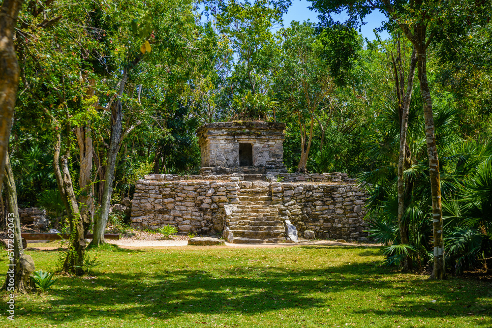 Mayan ruins in shadow of trees in jungle tropical forest Playa del Carmen, Riviera Maya, Yu atan, Mexico Mayan ruins in shadow of trees in jungle tropical forest Playa del Carmen, Riviera Maya, Yu atan, Mexico