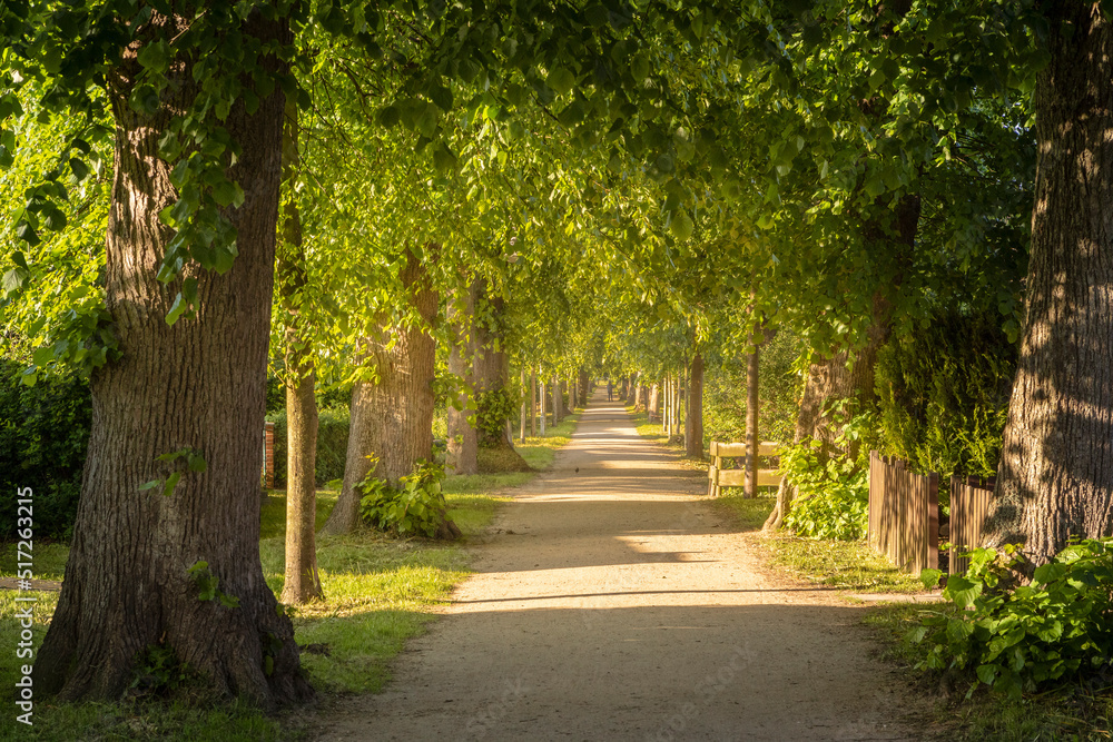 Paasch-Eyler-Allee am Kurpark in Dahme an der Ostsee in Schleswig-Holstein Paasch-Eyler-Allee am Kurpark in Dahme an der Ostsee in Schleswig-Holstein