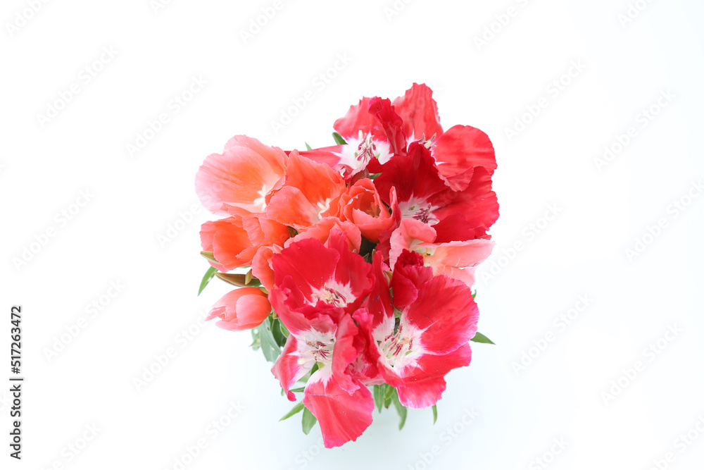 イロマツヨイグサの花束
